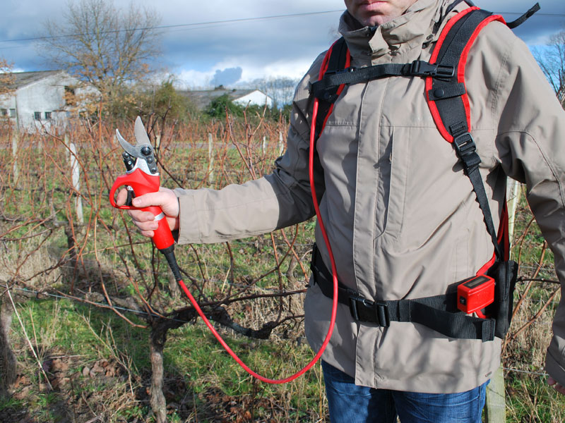 sécateur électrique vigne
