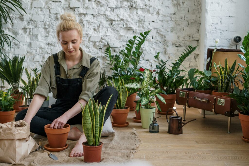 femme qui cherche une idée cadeau pour jardinier