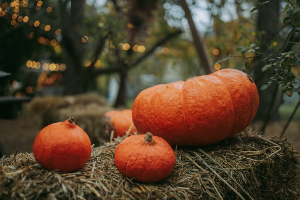 nettoyer son jardin en automne pour une bonne récolte