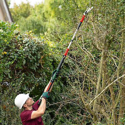 test et avis du sécateur bosch avec perche