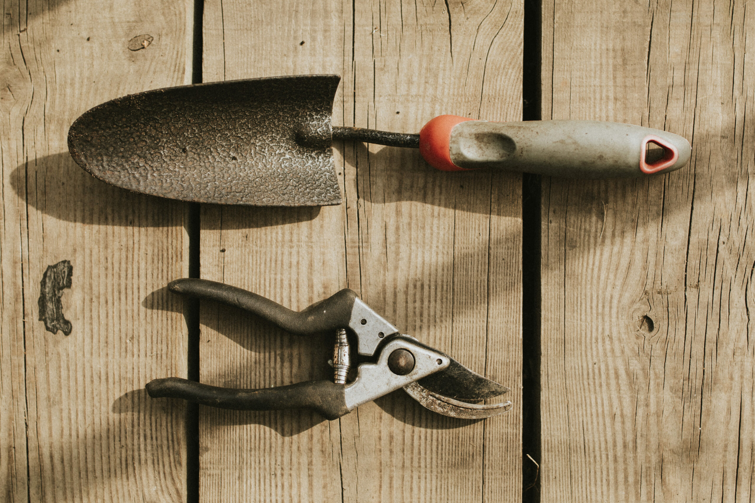 outils de jardin rouillés