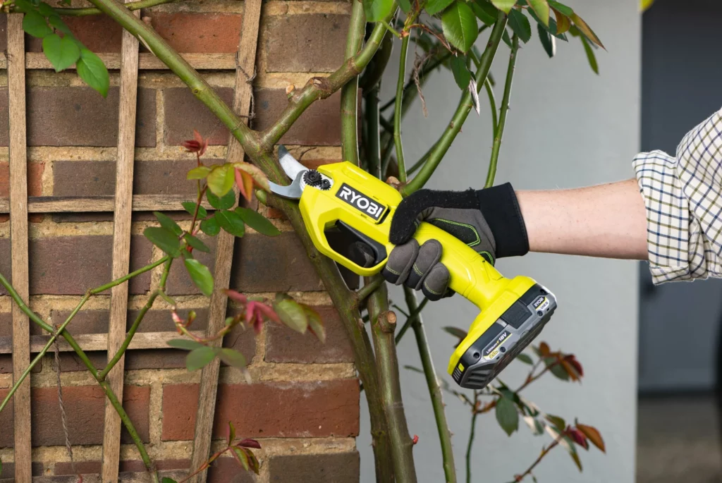 test et avis sécateur électrique sans fil ryobi one coupant une tige