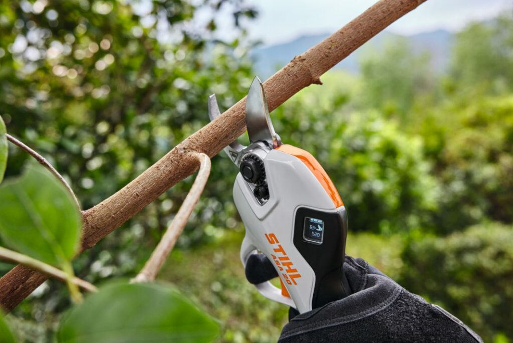 coupe grâce à un sécateur à batterie stihl